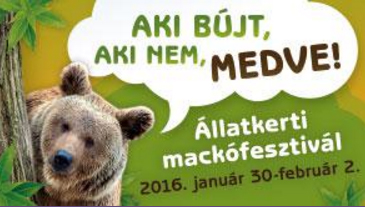 mackófesztivál plakát